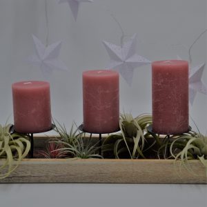 Adventskranz DIY mit Tillandsien | PASIORA